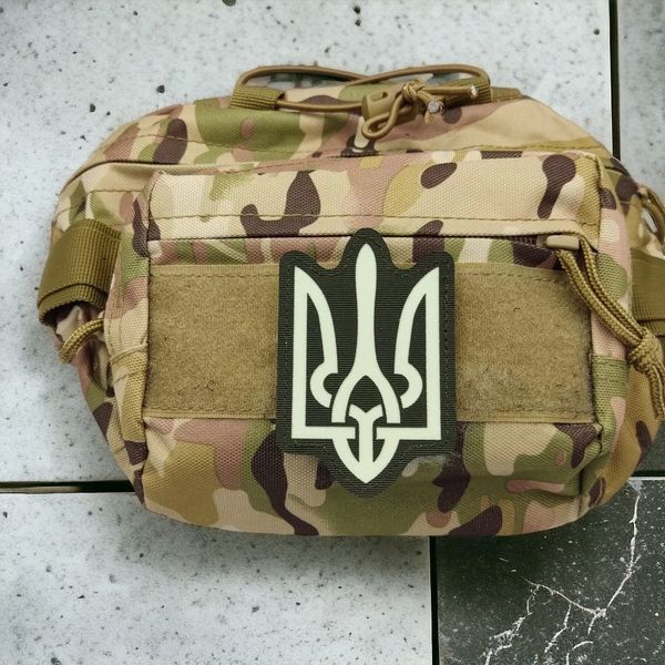 Патч / шеврон Герб светонакопительный Laser Cut хаки 2224697721 фото