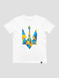 Футболка чоловіча "Ukraine Geometric" з гербом тризубом UG-TM фото 5