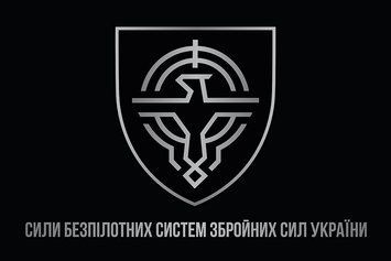 Флаг Силы беспилотных систем ВСУ 600х900 мм 2818391345 фото