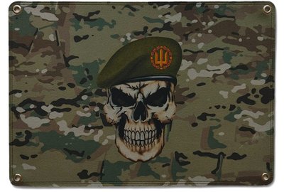 Велкро панель для шевронов Череп в берете Сухопутных войск мультикам 40х60 см 2263867264 фото