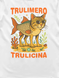Футболка мужская &laquo;Trulimero Trulicina&raquo; TRT-TM фото 2