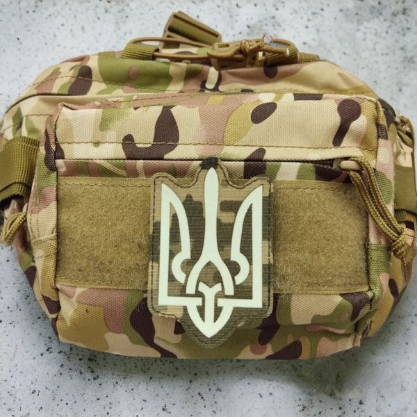 Патч-шеврон Герб світлонакопичувальний Laser Cut 4447 фото