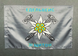 Флаг горной пехоты Украины 600х900 мм 1234515 фото 1