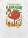 Футболка мужская &laquo;Strawberrini Flamangini&raquo; STF-TM фото 2